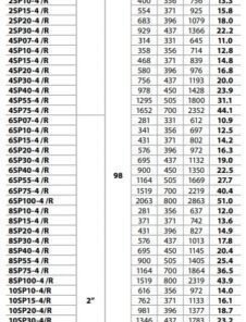 Bomba de agua sumergible de pozo City Pumps SP4 2